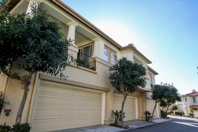 Northwood Pointe Condos, Lofts & Townhomes For Sale Northwood Pointe