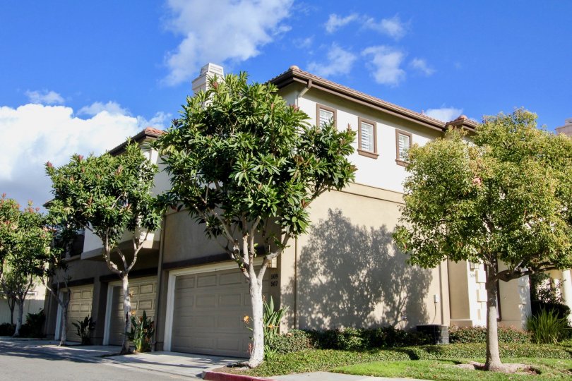 Northwood Pointe Condos, Lofts & Townhomes For Sale Northwood Pointe