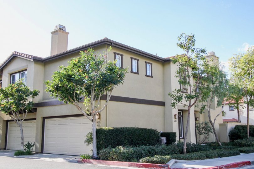 Northwood Pointe Condos, Lofts &amp; Townhomes For Sale