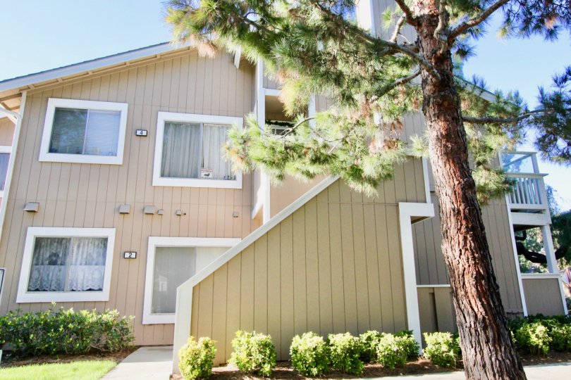 Northwood Timberline Condos, Lofts & Townhomes For Sale Northwood