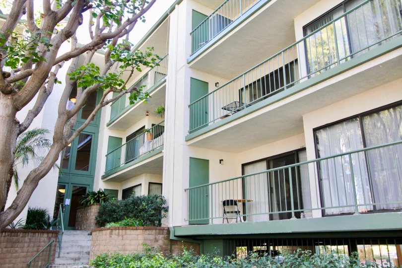 Orange Tree Terrace Irvine