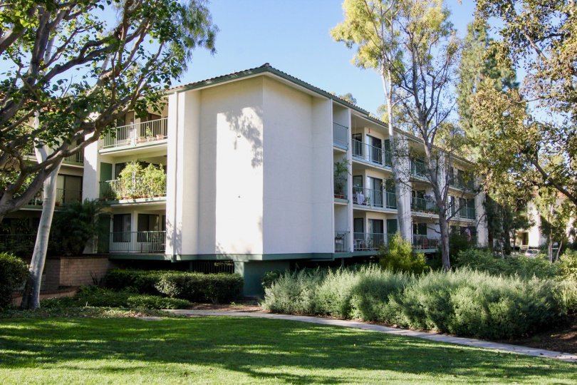Orangetree Terrace Condos, Lofts &amp; Townhomes For Sale