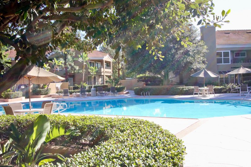 Oxford Court Condos, Lofts & Townhomes For Sale Oxford Court Real