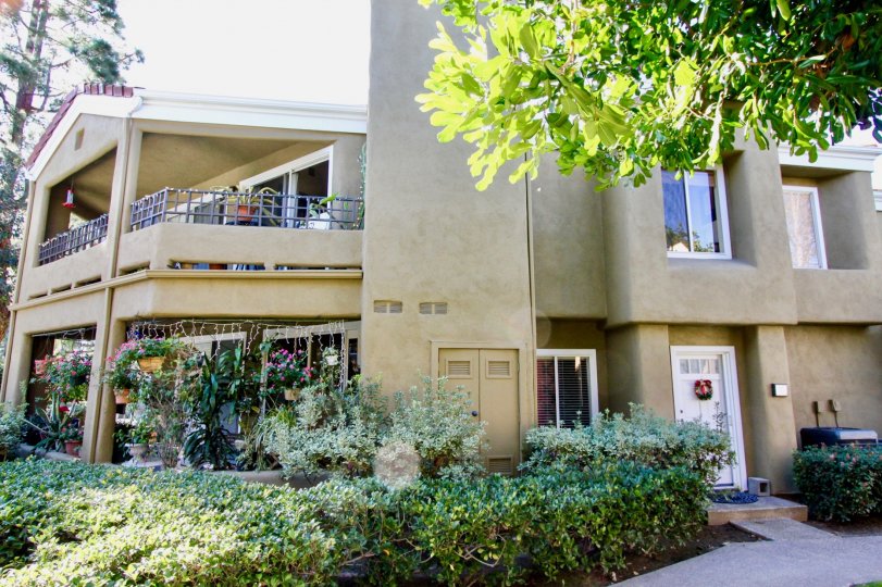 Oxford Court Condos, Lofts & Townhomes For Sale Oxford Court Real