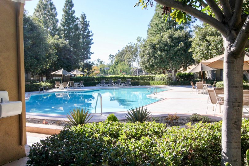 Oxford Court Condos, Lofts & Townhomes For Sale Oxford Court Real