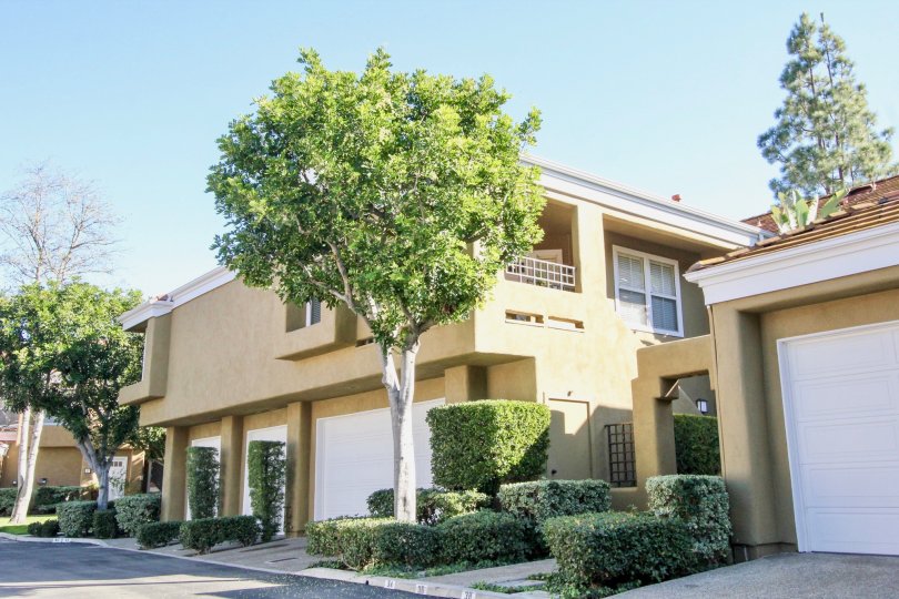 Oxford Court Condos Lofts Townhomes For Sale Oxford Court Real