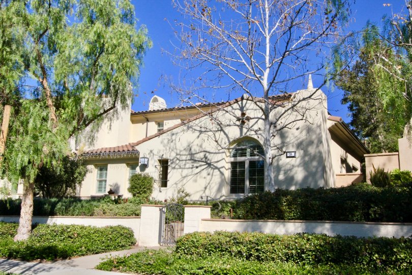 Paloma Condos, Lofts & Townhomes For Sale Paloma Real Estate Paloma