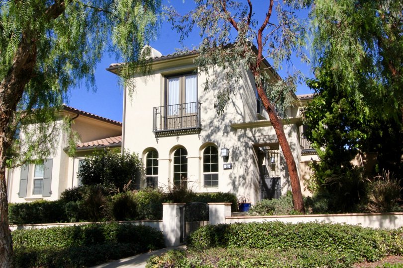 Paloma Condos, Lofts & Townhomes For Sale Paloma Real Estate Paloma