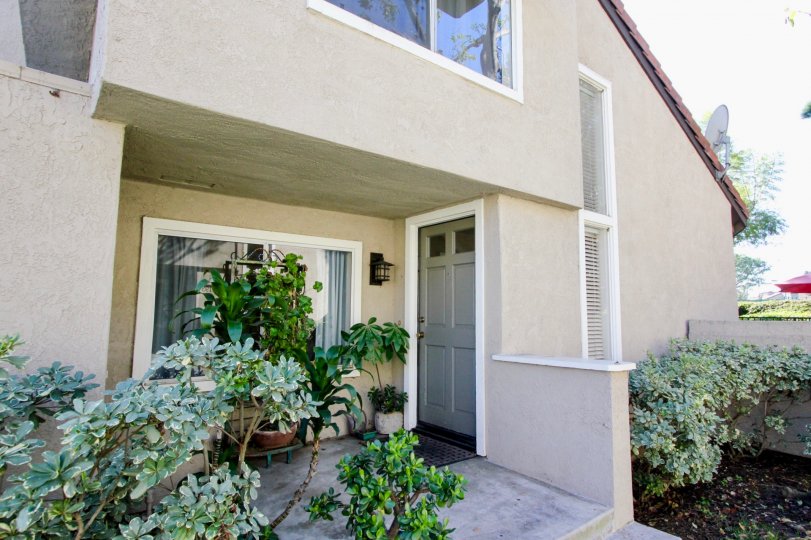 Princeton Townhomes Condos, Lofts & Townhomes For Sale Princeton Townhomes Real Estate