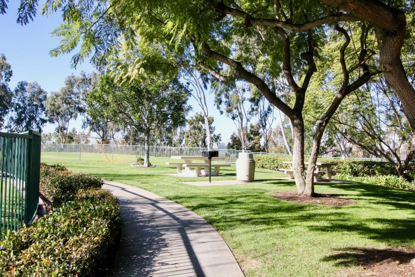 Princeton Townhomes Condos, Lofts & Townhomes For Sale Princeton Townhomes Real Estate