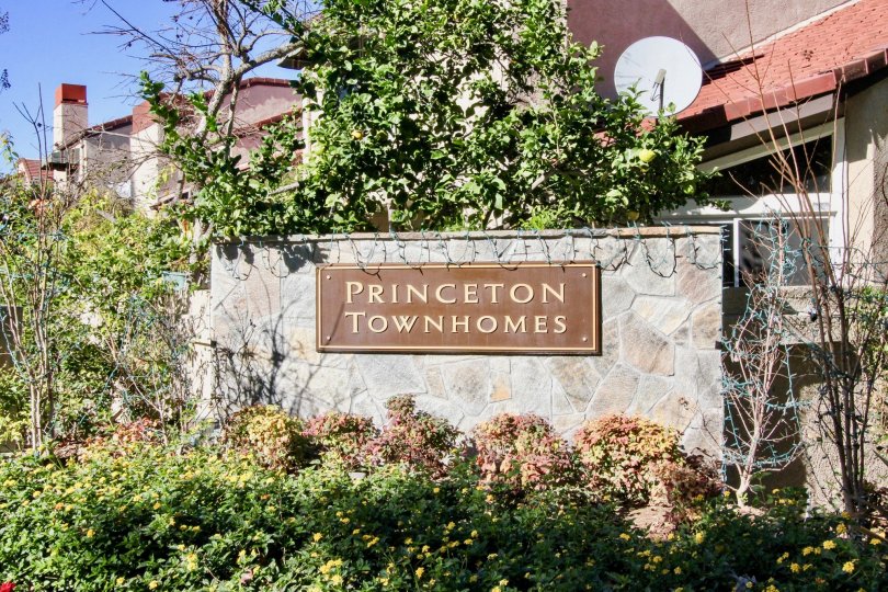 Princeton Townhomes Condos, Lofts & Townhomes For Sale Princeton Townhomes Real Estate