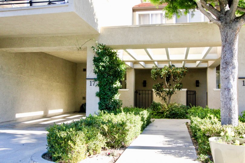 Princeton Townhomes Condos, Lofts & Townhomes For Sale Princeton Townhomes Real Estate