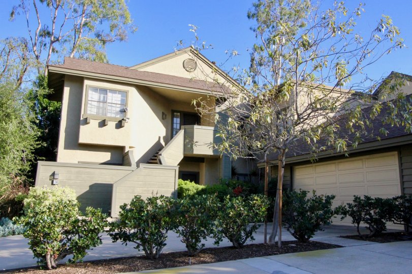 Ridge Townhomes Akins Condos, Lofts & Townhomes For Sale Ridge