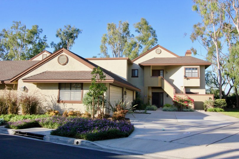 Ridge Townhomes Akins Condos, Lofts & Townhomes For Sale Ridge