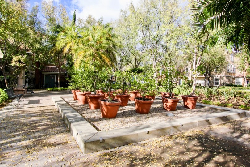 Terra Bella Condos, Lofts & Townhomes For Sale Terra Bella Real