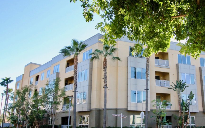 The Belvedere Condos, Lofts & Townhomes For Sale The Belvedere Real