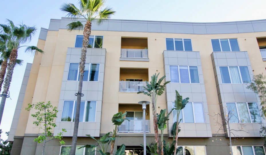 The Belvedere Condos, Lofts & Townhomes For Sale The Belvedere Real