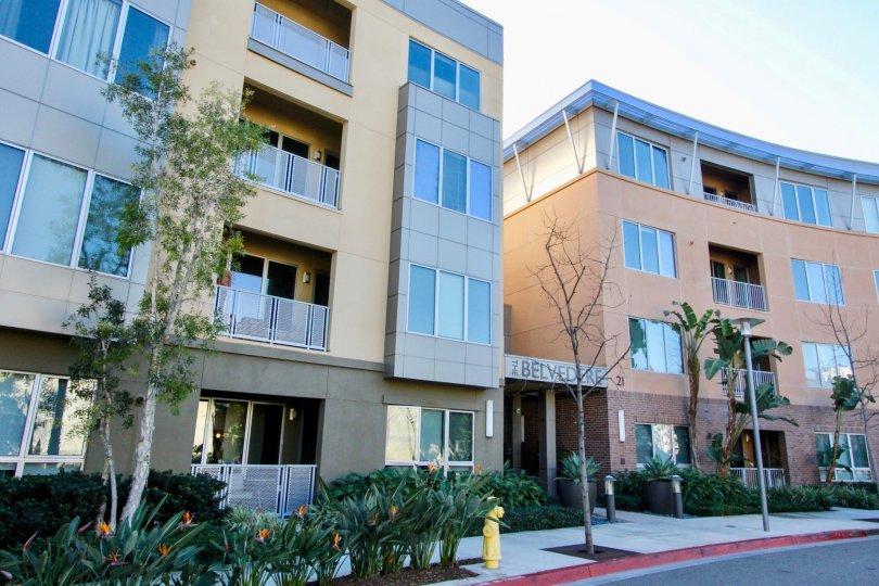 The Belvedere Condos, Lofts & Townhomes For Sale The Belvedere Real