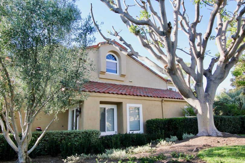 Turtle Rock Pointe Condos, Lofts & Townhomes For Sale Turtle Rock