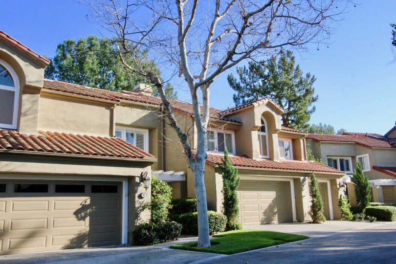 Turtle Rock Pointe Condos, Lofts & Townhomes For Sale Turtle Rock