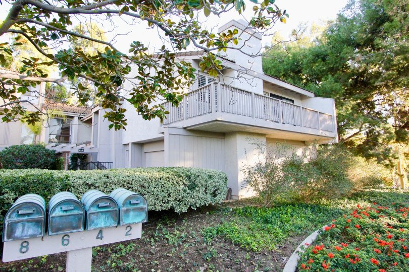 Turtle Rock Vista Condos, Lofts & Townhomes For Sale Turtle Rock