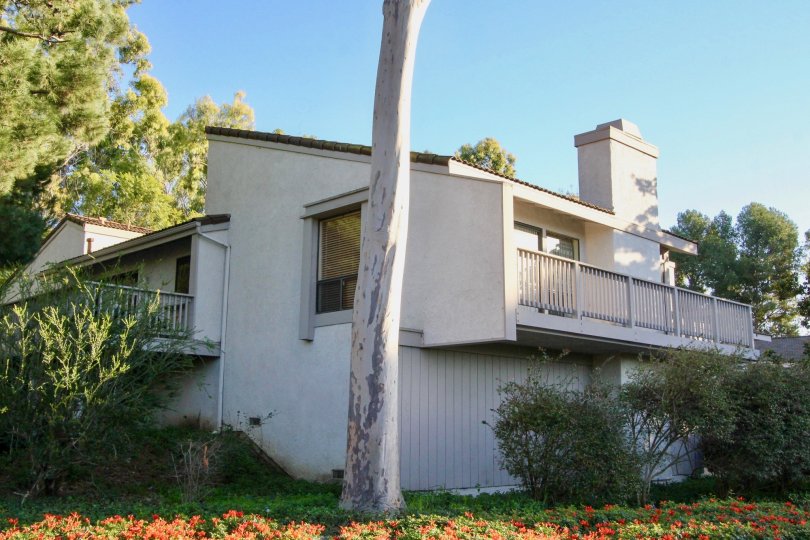 Turtle Rock Vista Condos, Lofts & Townhomes For Sale Turtle Rock