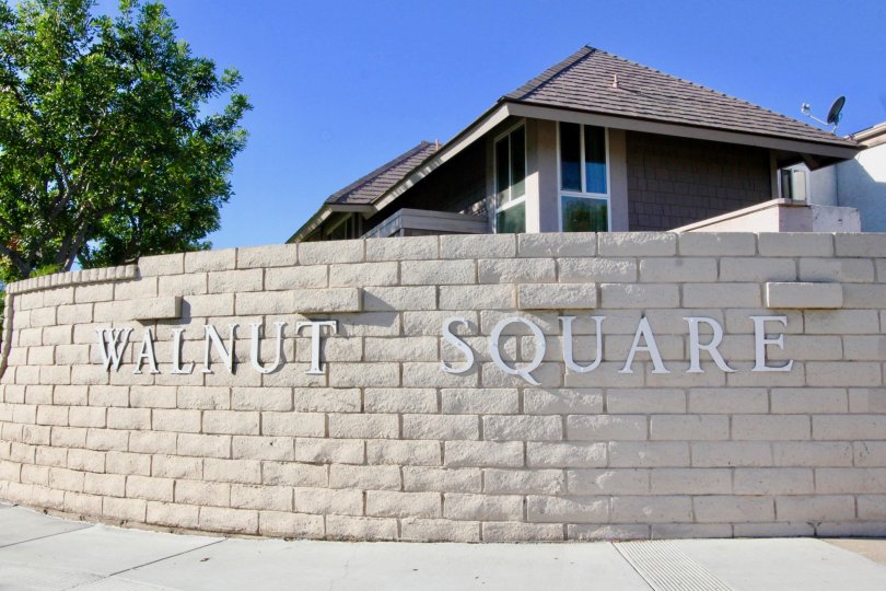 Walnut Square Condos, Lofts & Townhomes For Sale Walnut Square Real