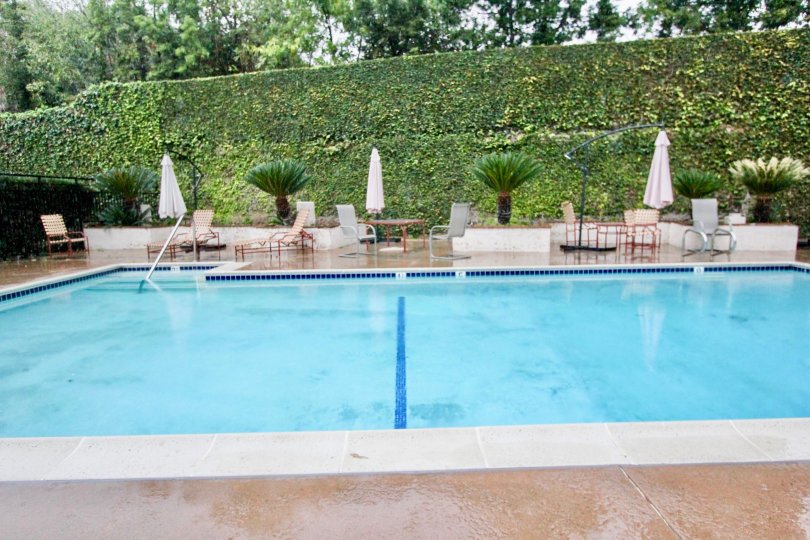 La Habra Woods Townhomes Condos, Lofts & Townhomes For Sale La Habra Woods Townhomes Real