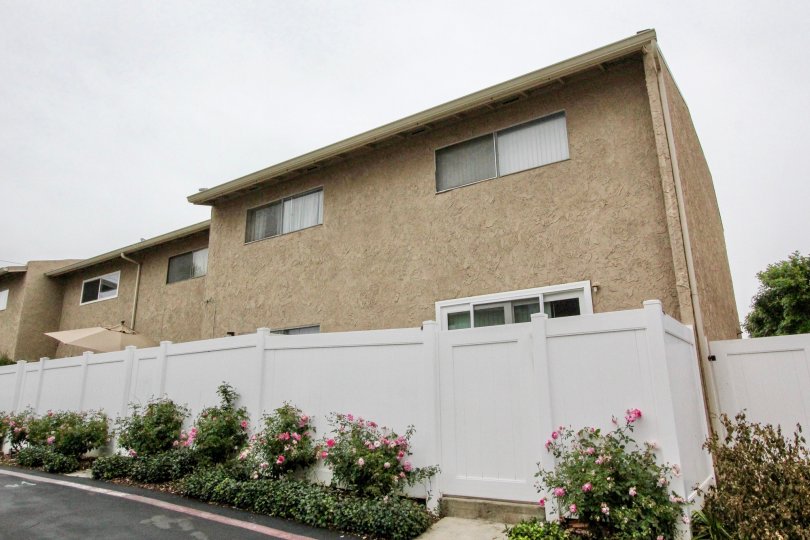 Mira Vista Condos, Lofts & Townhomes For Sale Mira Vista Real Estate