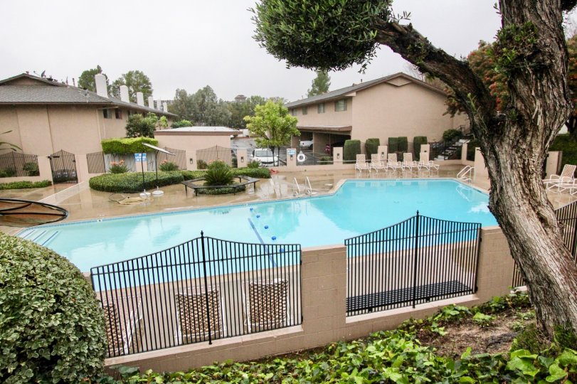 Woodridge Townhouse Condos, Lofts & Townhomes For Sale Woodridge