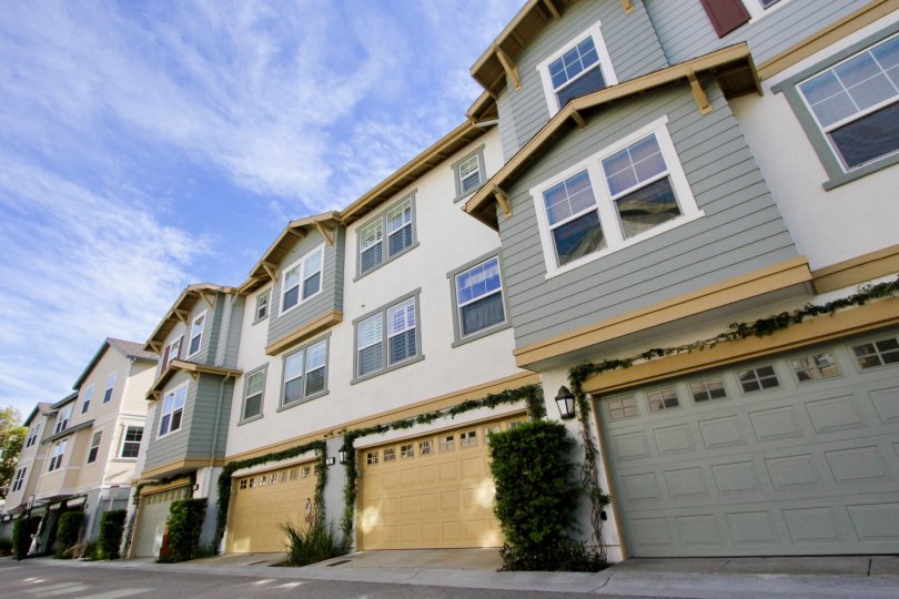 Briar Rose Condos, Lofts & Townhomes For Sale Briar Rose Real Estate