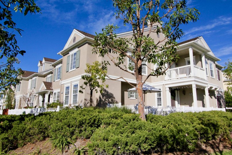 Charleston Place Condos, Lofts & Townhomes For Sale Charleston Place