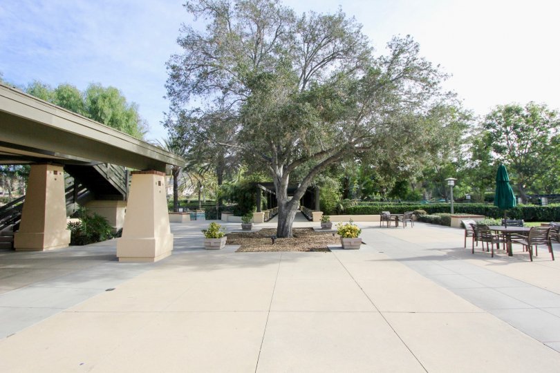 Valmont Condos, Lofts & Townhomes For Sale Valmont Real Estate