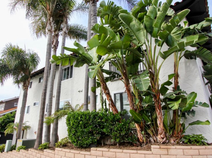 Woods Cove Condos, Lofts & Townhomes For Sale Woods Cove Real Estate