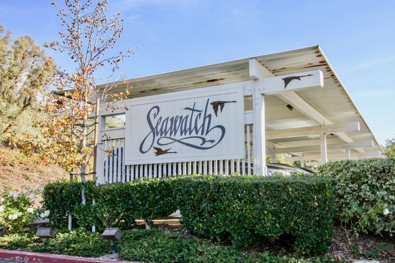 Beacon Hill Seawatch Condos, Lofts & Townhomes For Sale Beacon Hill