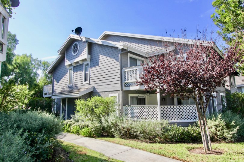 Beacon Hill Seawatch Condos, Lofts & Townhomes For Sale Beacon Hill