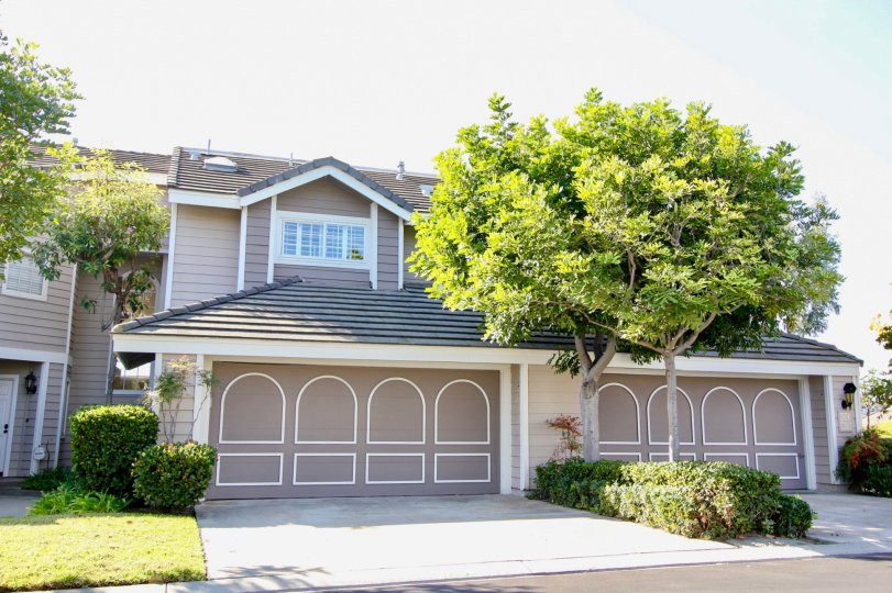 Beacon Hill Vistas Condos, Lofts & Townhomes For Sale Beacon Hill