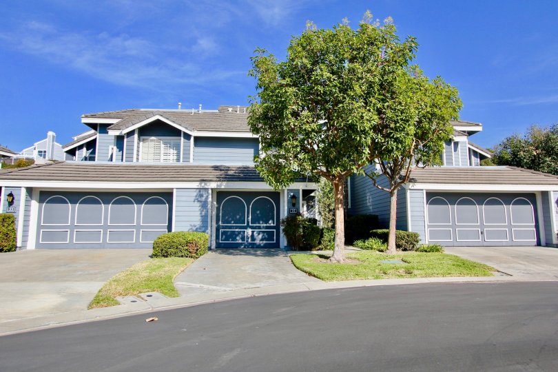 Beacon Hill Vistas Condos, Lofts & Townhomes For Sale Beacon Hill