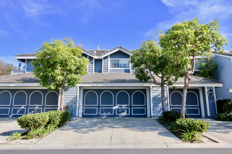 Beacon Hill Vistas Condos, Lofts & Townhomes For Sale Beacon Hill Vistas Real Estate Beacon