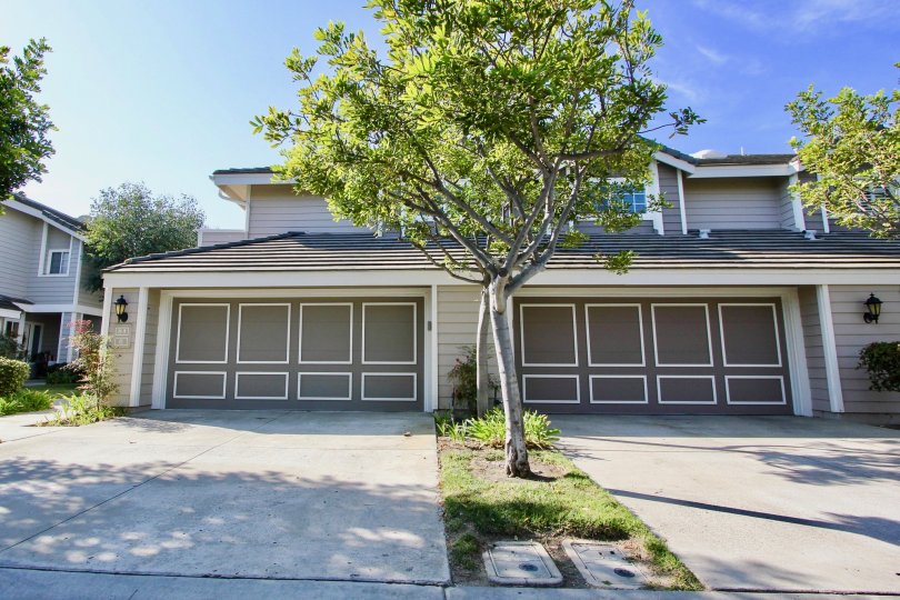 Beacon Hill Vistas Condos, Lofts & Townhomes For Sale Beacon Hill