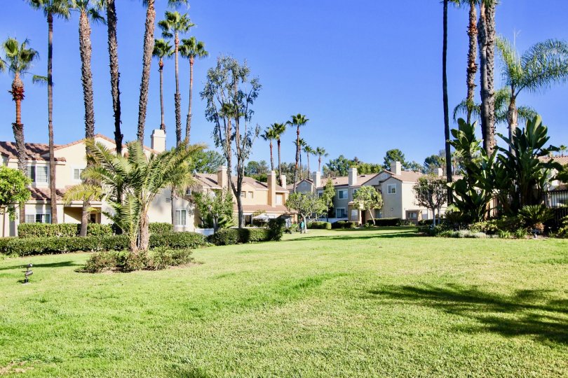 Chandon Condos, Lofts & Townhomes For Sale Chandon Real Estate