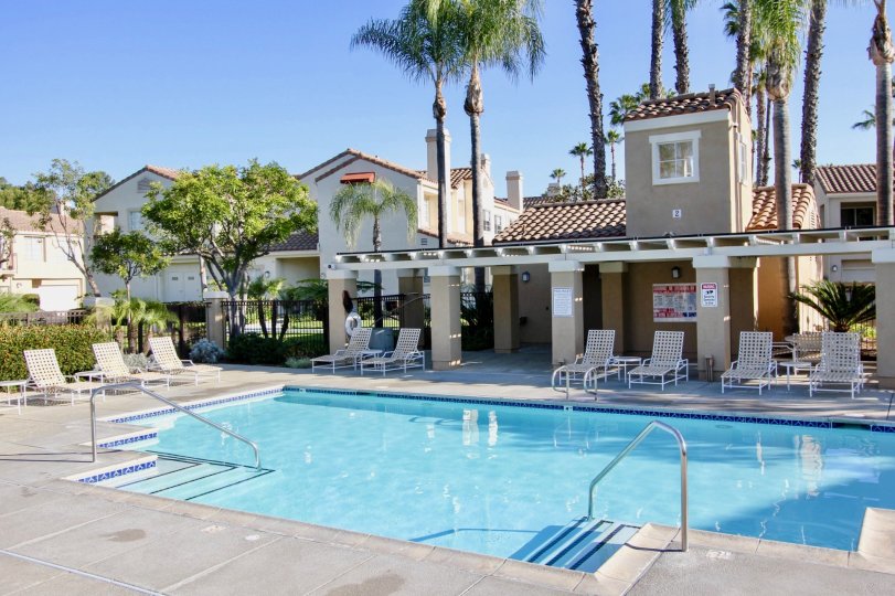 Chandon Condos, Lofts & Townhomes For Sale Chandon Real Estate