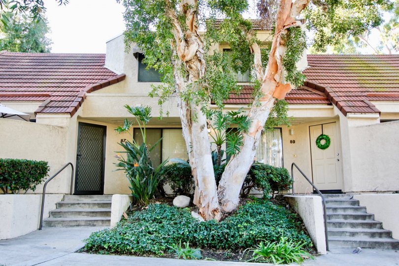 Crystal Cay Condos, Lofts & Townhomes For Sale Crystal Cay Real