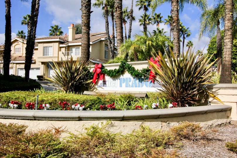 Del Prado Condos, Lofts & Townhomes For Sale Del Prado Real Estate