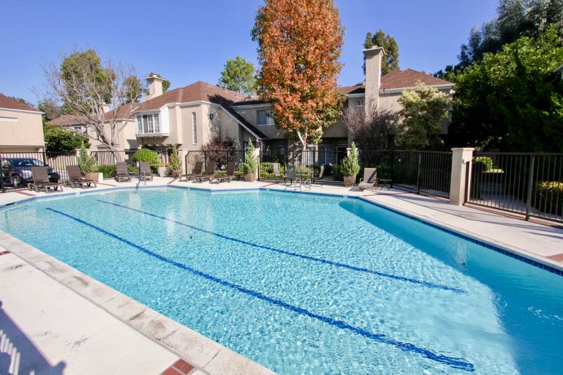 Hampton Village Condos, Lofts & Townhomes For Sale Hampton Village