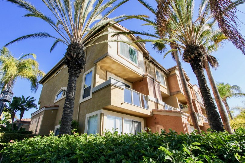 La Vista Condos, Lofts & Townhomes For Sale La Vista Real Estate La