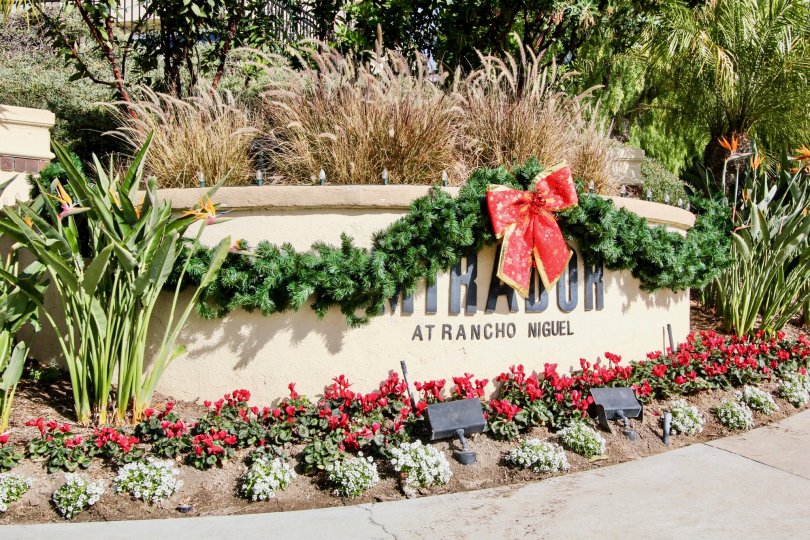 Mirador Condos, Lofts & Townhomes For Sale Mirador Real Estate