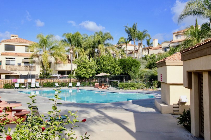 Mirador Condos, Lofts & Townhomes For Sale Mirador Real Estate