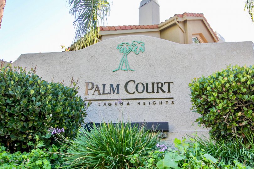 Palm Court Condos Lofts Townhomes For Sale Palm Court Real Estate