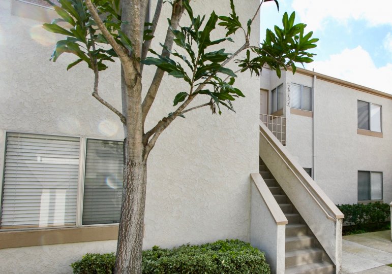 Vista Del Cerro Condos, Lofts & Townhomes For Sale Vista Del Cerro Real Estate Vista Del